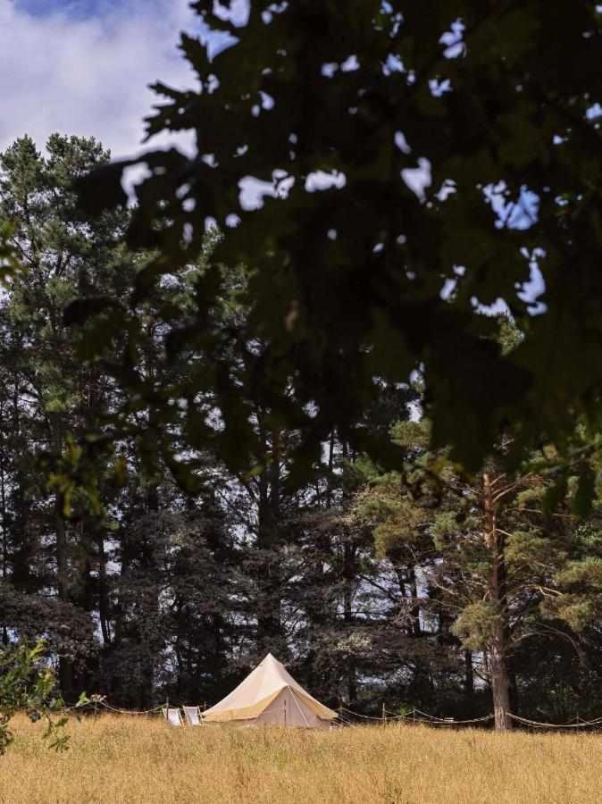 A Leira 116 Cabanas De Diseno Саррия Экстерьер фото