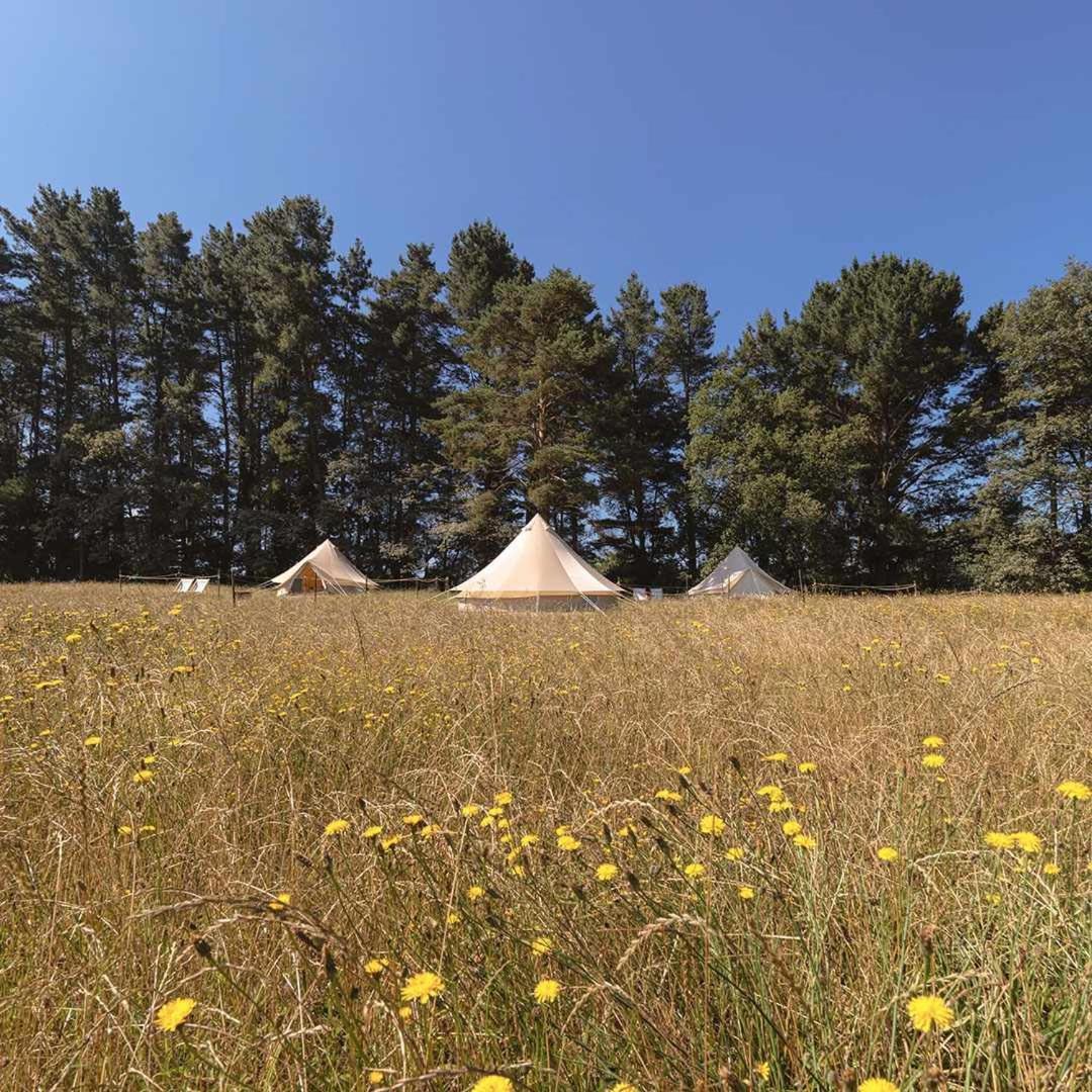 A Leira 116 Cabanas De Diseno Саррия Экстерьер фото